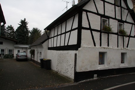 holweide