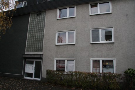 holweide