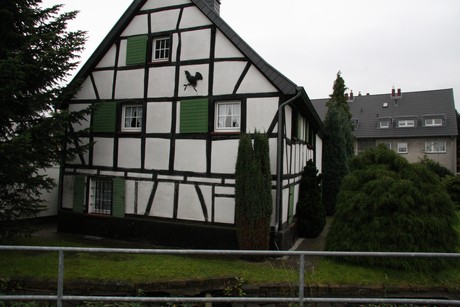 holweide