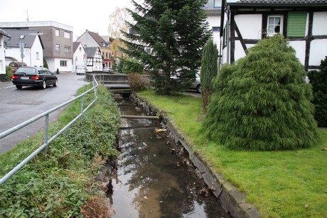 holweide