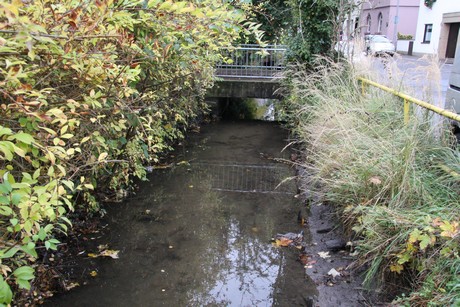 holweide