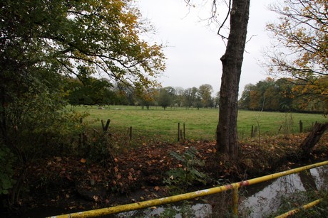 holweide