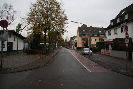 holweide