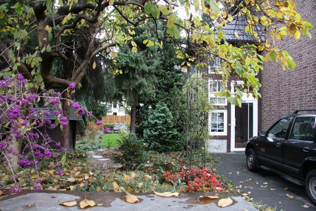 holweide