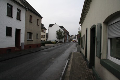 holweide