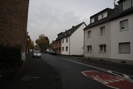 holweide