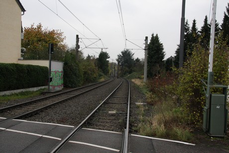 holweide