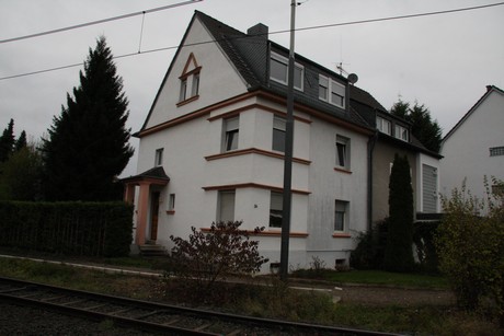 holweide