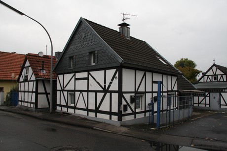 holweide
