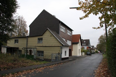 holweide