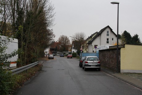 holweide