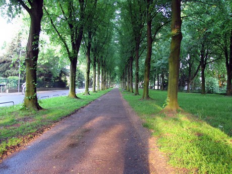 junkersdorf