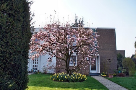 Junkersdorf
