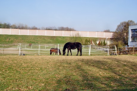 Junkersdorf