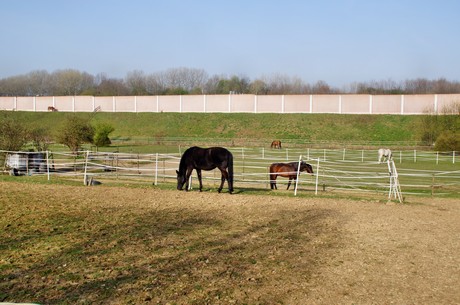 Junkersdorf