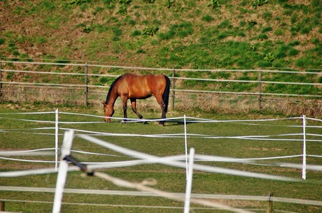 Junkersdorf