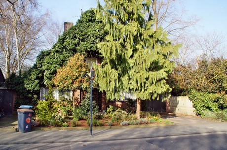 Junkersdorf