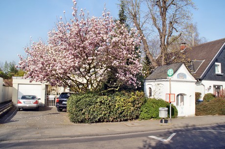 Junkersdorf