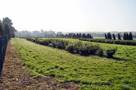 Junkersdorf