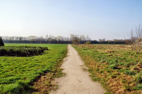 Junkersdorf