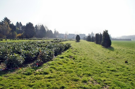 Junkersdorf