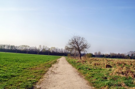 Junkersdorf