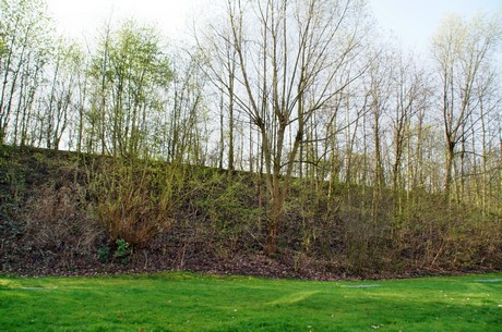 Junkersdorf