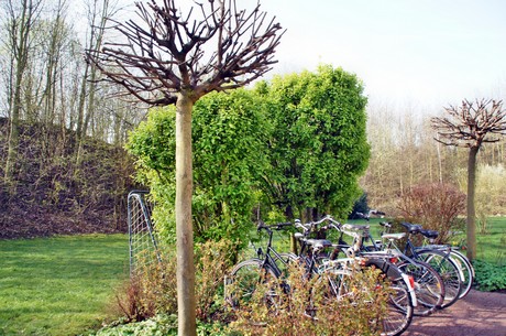 Junkersdorf