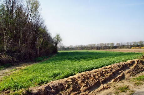 Junkersdorf
