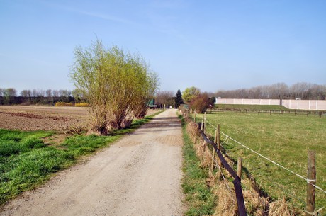 Junkersdorf