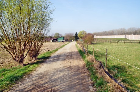 Junkersdorf