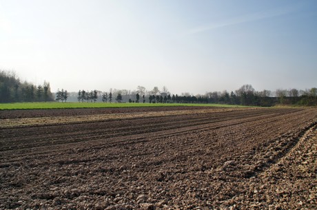 Junkersdorf