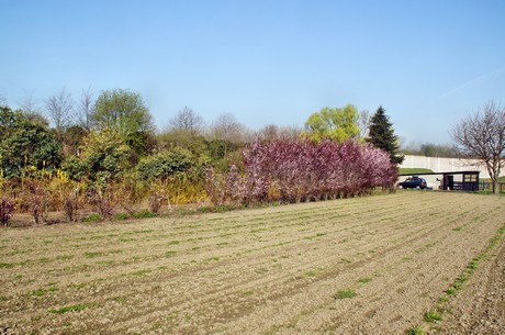 Junkersdorf