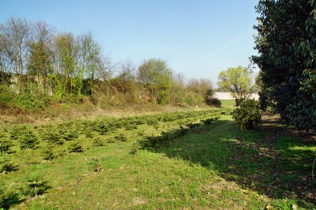 Junkersdorf