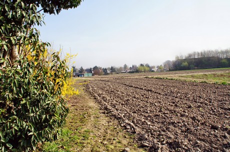 Junkersdorf