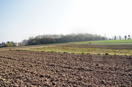 Junkersdorf