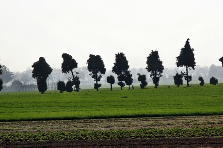 Junkersdorf
