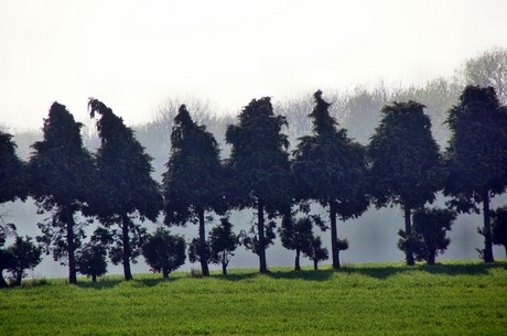 Junkersdorf