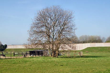 Junkersdorf