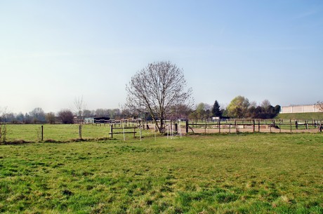 Junkersdorf