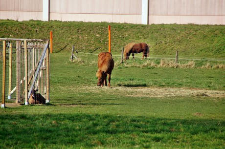 Junkersdorf