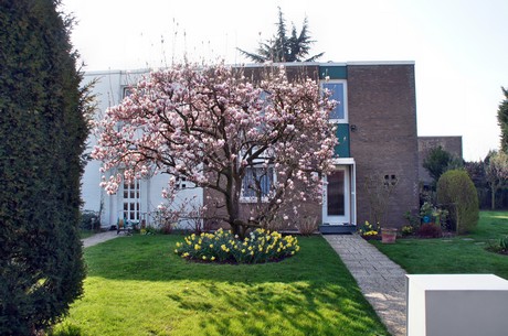 Junkersdorf