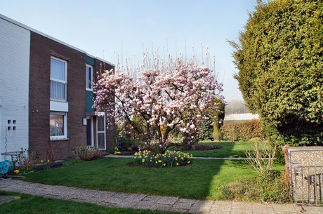 Junkersdorf