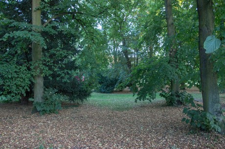 junkersdorf