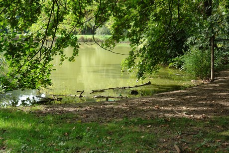 klettenbergpark
