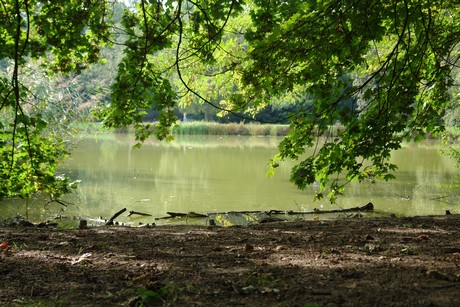 klettenbergpark