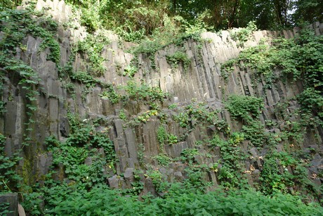 klettenbergpark