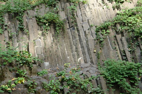 klettenbergpark