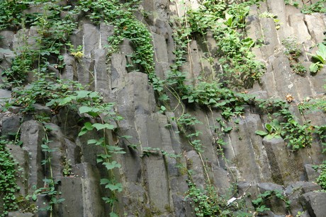 klettenbergpark