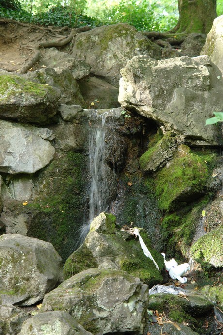 klettenbergpark